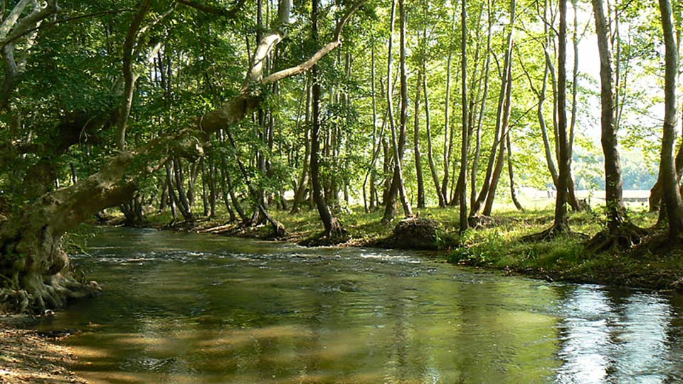 Strumica Strumeshnitsa reka